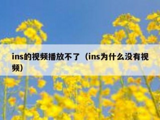 ins的视频播放不了（ins为什么没有视频）