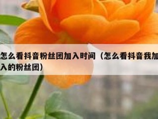怎么看抖音粉丝团加入时间（怎么看抖音我加入的粉丝团）