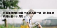 抖音里面的粉丝是什么意思是什么（抖音里面的粉丝有什么用处）
