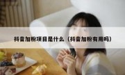 抖音加粉项目是什么（抖音加粉有用吗）