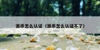 派币怎么认证（派币怎么认证不了）