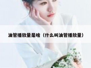 油管播放量是啥（什么叫油管播放量）