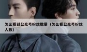 怎么看到公众号粉丝数量（怎么看公众号粉丝人数）