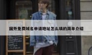 国外免费域名申请地址怎么填的简单介绍