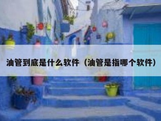 油管到底是什么软件（油管是指哪个软件）