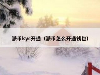 派币kyc开通（派币怎么开通钱包）