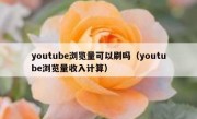 youtube浏览量可以刷吗（youtube浏览量收入计算）
