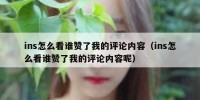 ins怎么看谁赞了我的评论内容（ins怎么看谁赞了我的评论内容呢）