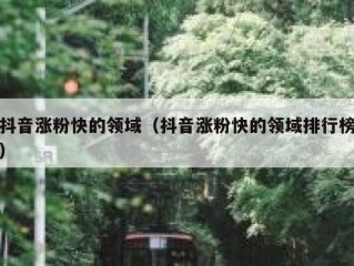 抖音涨粉快的领域（抖音涨粉快的领域排行榜）