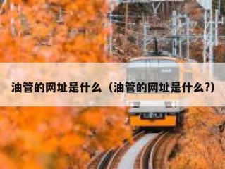 油管的网址是什么（油管的网址是什么?）