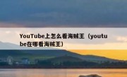 YouTube上怎么看海贼王（youtube在哪看海贼王）