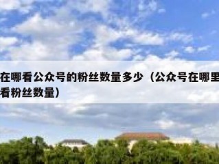 在哪看公众号的粉丝数量多少（公众号在哪里看粉丝数量）