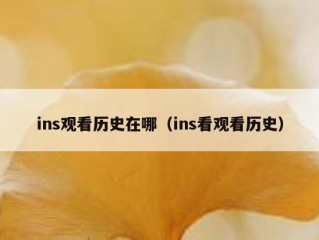 ins观看历史在哪（ins看观看历史）