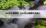 ins怎么看图片（ins怎么看图片识别人）