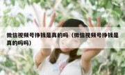 微信视频号挣钱是真的吗（微信视频号挣钱是真的吗吗）