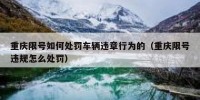 重庆限号如何处罚车辆违章行为的（重庆限号违规怎么处罚）
