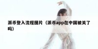 派币登入流程图片（派币app在中国被关了吗）