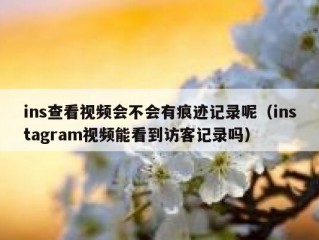 ins查看视频会不会有痕迹记录呢（instagram视频能看到访客记录吗）