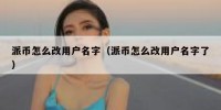 派币怎么改用户名字（派币怎么改用户名字了）