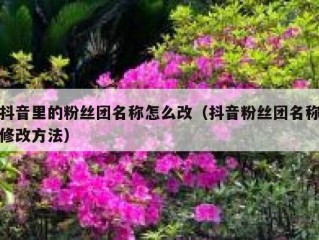 抖音里的粉丝团名称怎么改（抖音粉丝团名称修改方法）