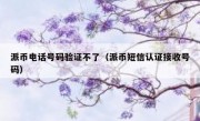 派币电话号码验证不了（派币短信认证接收号码）