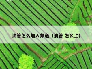 油管怎么加入频道（油管 怎么上）