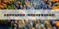 抖音咋样加粉丝团（如何在抖音里加粉丝团）