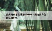 国内用户怎么注册tiktok（国内用户怎么注册line）