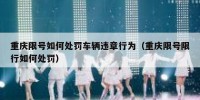 重庆限号如何处罚车辆违章行为（重庆限号限行如何处罚）