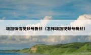 增加微信视频号粉丝（怎样增加视频号粉丝）