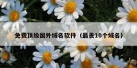 免费顶级国外域名软件（最贵10个域名）