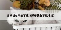 派币钱包不能下载（派币钱包下载地址）