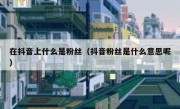 在抖音上什么是粉丝（抖音粉丝是什么意思呢）
