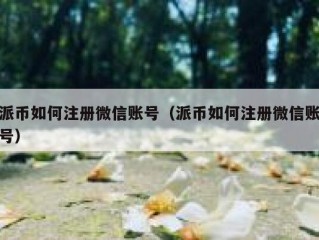 派币如何注册微信账号（派币如何注册微信账号）