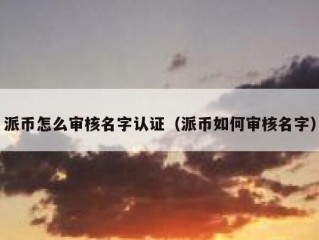 派币怎么审核名字认证（派币如何审核名字）