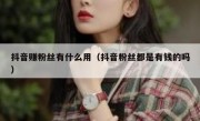 抖音赚粉丝有什么用（抖音粉丝都是有钱的吗）