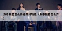 派币钱包怎么开通支付功能（派币钱包怎么弄）