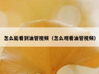 怎么能看到油管视频（怎么观看油管视频）