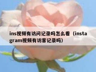 ins视频有访问记录吗怎么看（instagram视频有访客记录吗）