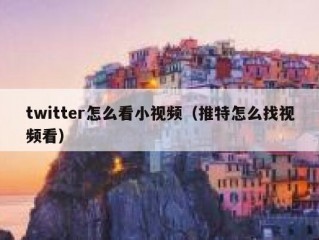 twitter怎么看小视频（推特怎么找视频看）