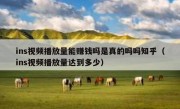 ins视频播放量能赚钱吗是真的吗吗知乎（ins视频播放量达到多少）