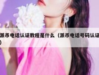 派币电话认证教程是什么（派币电话号码认证）