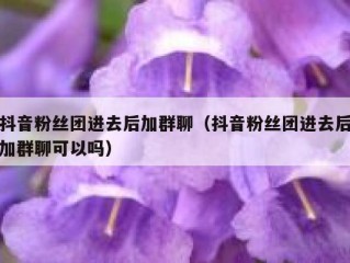 抖音粉丝团进去后加群聊（抖音粉丝团进去后加群聊可以吗）