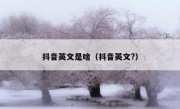 抖音英文是啥（抖音英文?）