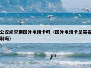 公安能查到国外电话卡吗（国外电话卡是实名制吗）