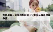 在哪里看公众号的粉丝量（公众号从哪看粉丝数量）