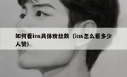 如何看ins具体粉丝数（ins怎么看多少人赞）