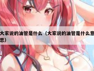 大家说的油管是什么（大家说的油管是什么意思）