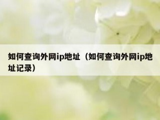 如何查询外网ip地址（如何查询外网ip地址记录）