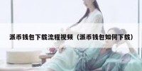 派币钱包下载流程视频（派币钱包如何下载）